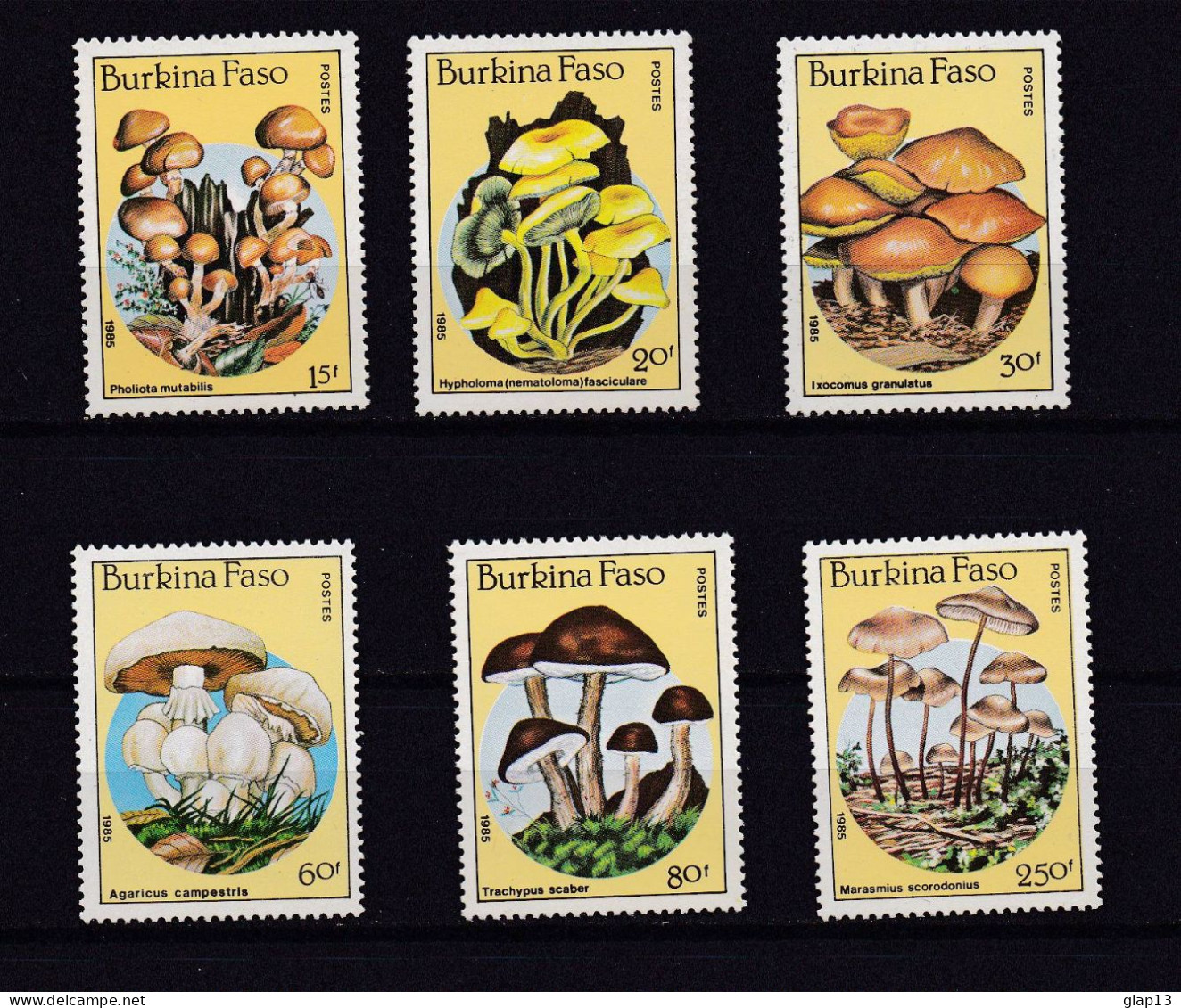 BURKINA FASO 1985 TIMBRE N°676/81 NEUF** CHAMPIGNONS - Burkina Faso (1984-...)