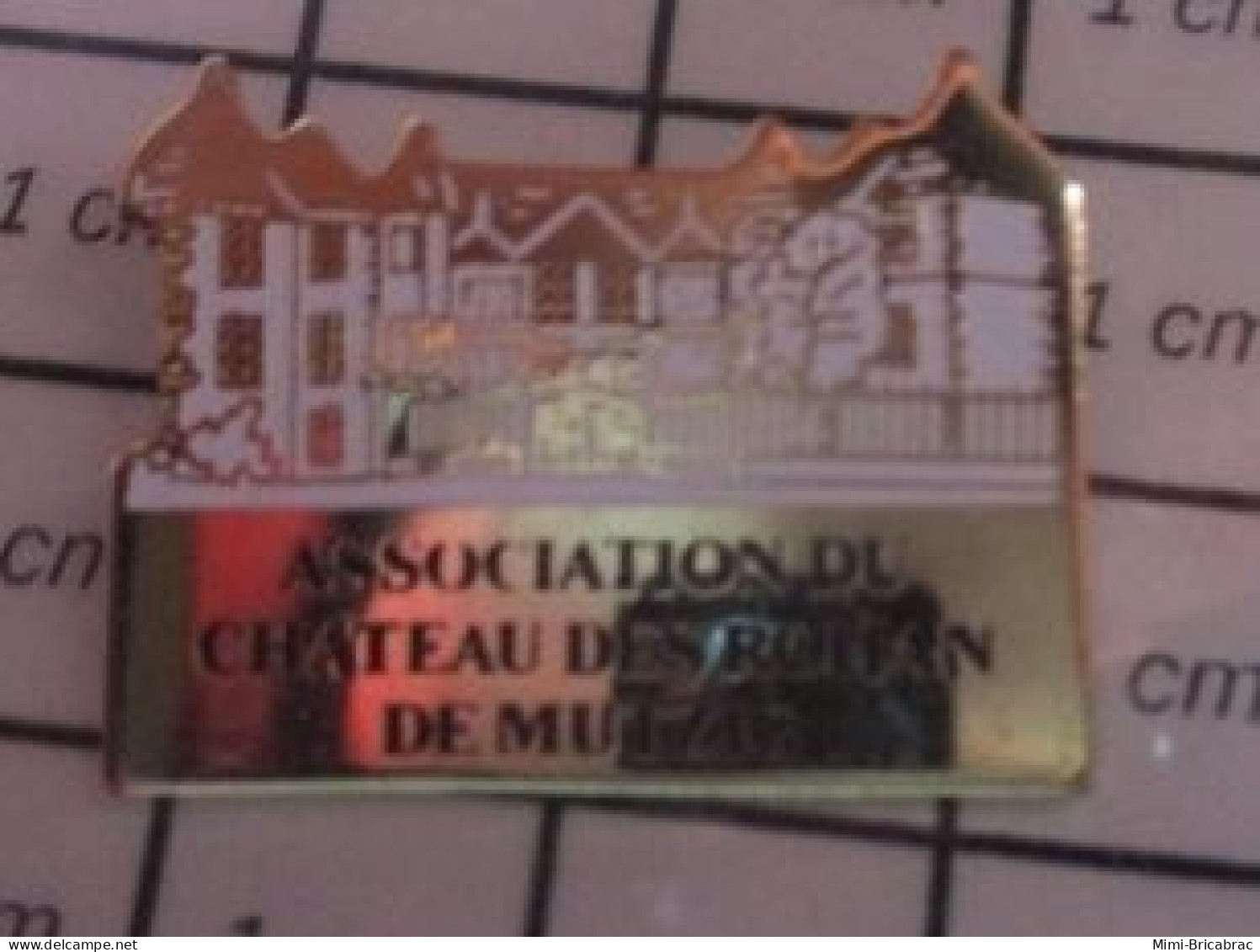 1210 Pin's Pins / Beau Et Rare / ASSOCIATIONS / ASSOCIATION DU CHATEAU DES ???? DE MUTZIG - Asociaciones