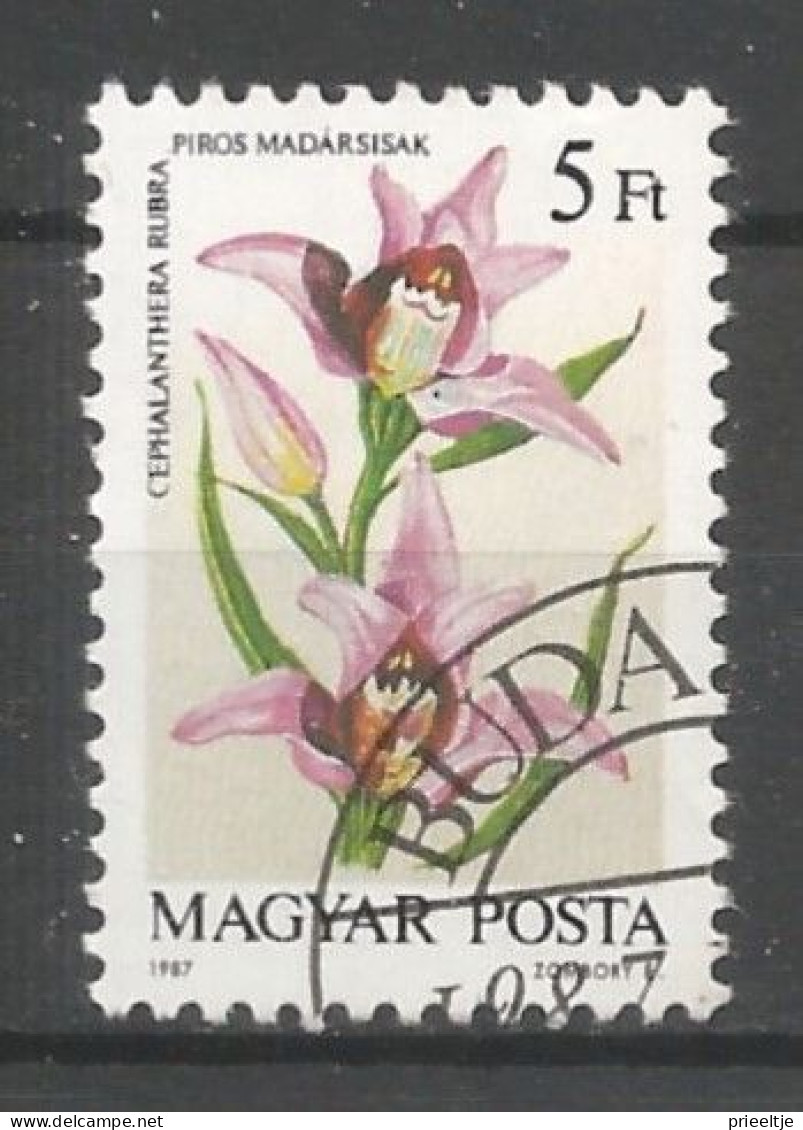 Hungary 1987 Flower Y.T. 3133 (0) - Usati