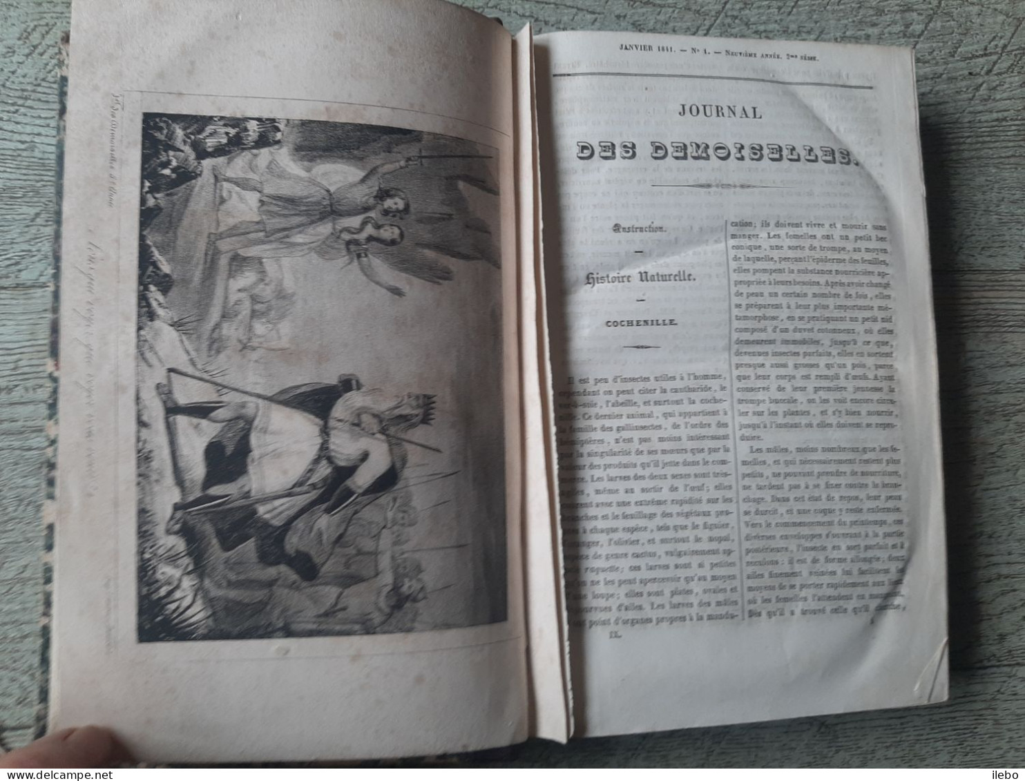 Journal Des Demoiselles 1841 Planches Dépliantes Broderie Canevas Romans Musique Gravures Mode - Fashion