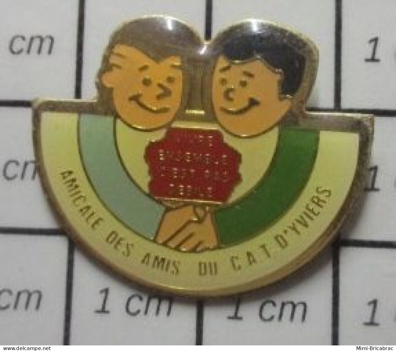 1615A Pin's Pins / Beau Et Rare / ASSOCIATIONS / AMICALE DES AMIS DU C.A.T. D'YVIERS - Verenigingen