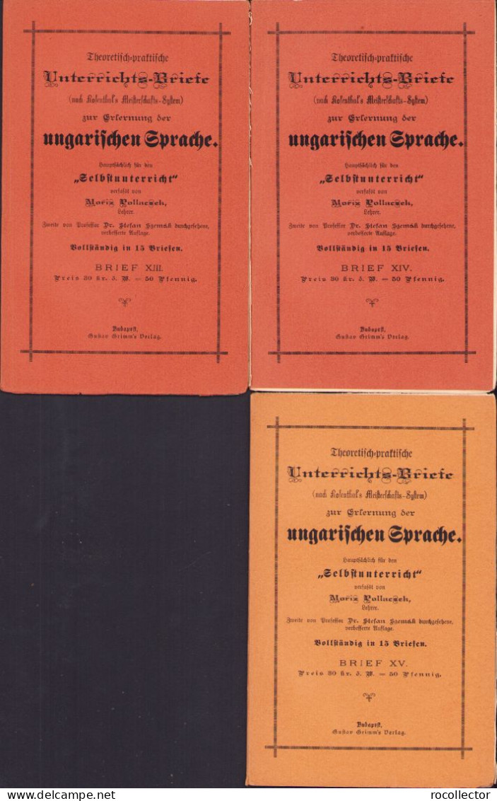 Theoretisch-praktische Unterrichts-Briefe Zur Erlernung Der Ungarischen Sprache By Moriz Pollacsek 398SP - Livres Anciens