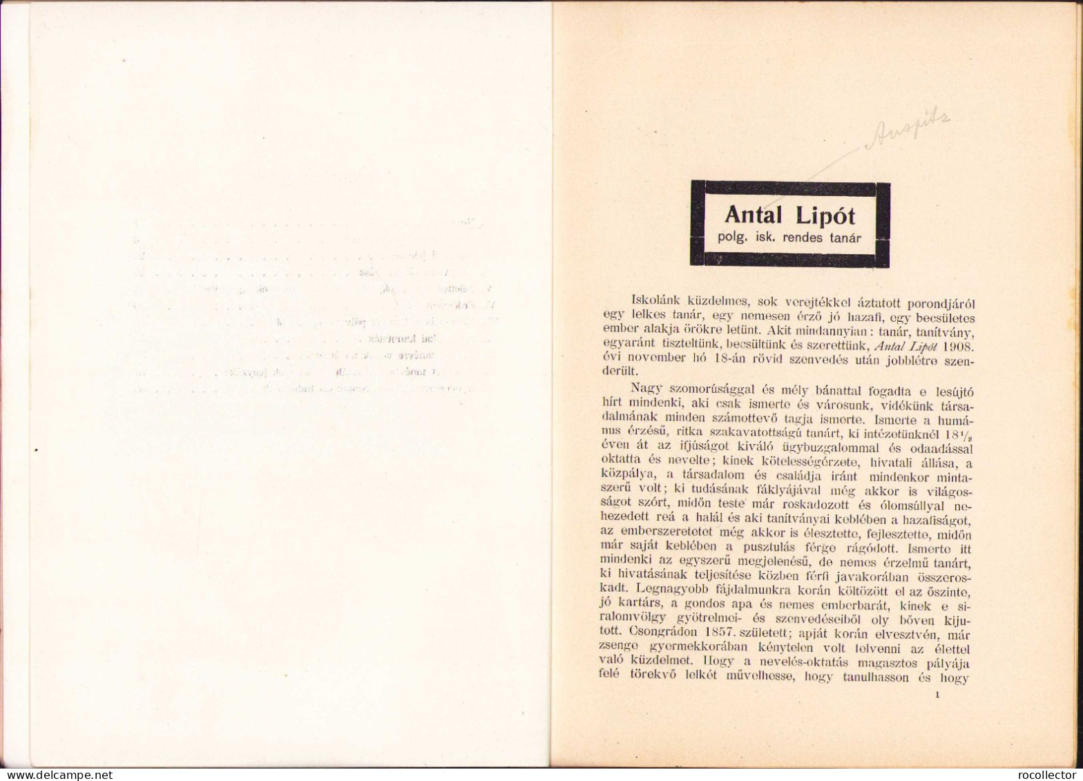 A Karánsebesi állami Polgári Fiú és Leányiskola értésitője Az 1908-1909 Tanévről C1023 - Livres Anciens