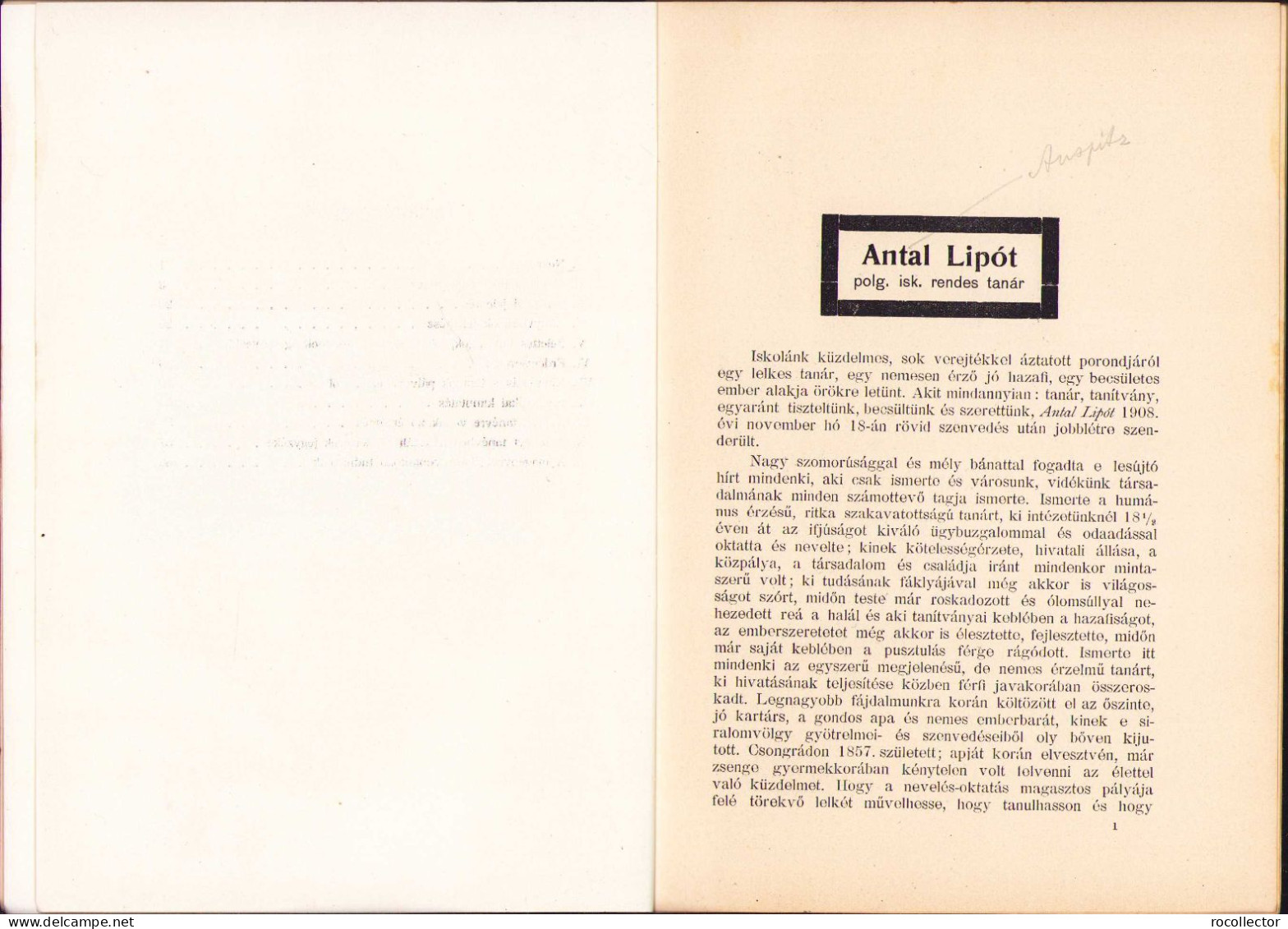 A Karánsebesi állami Polgári Fiú és Leányiskola értésitője Az 1908-1909 Tanévről C1023 - Old Books