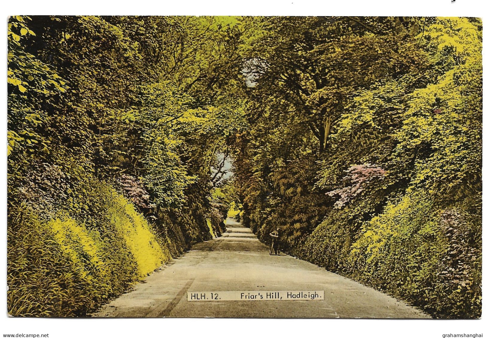 Postcard UK England Suffolk Hadleigh Friar's Hill Long Wooded Path Published Frith Posted 1973 - Other & Unclassified