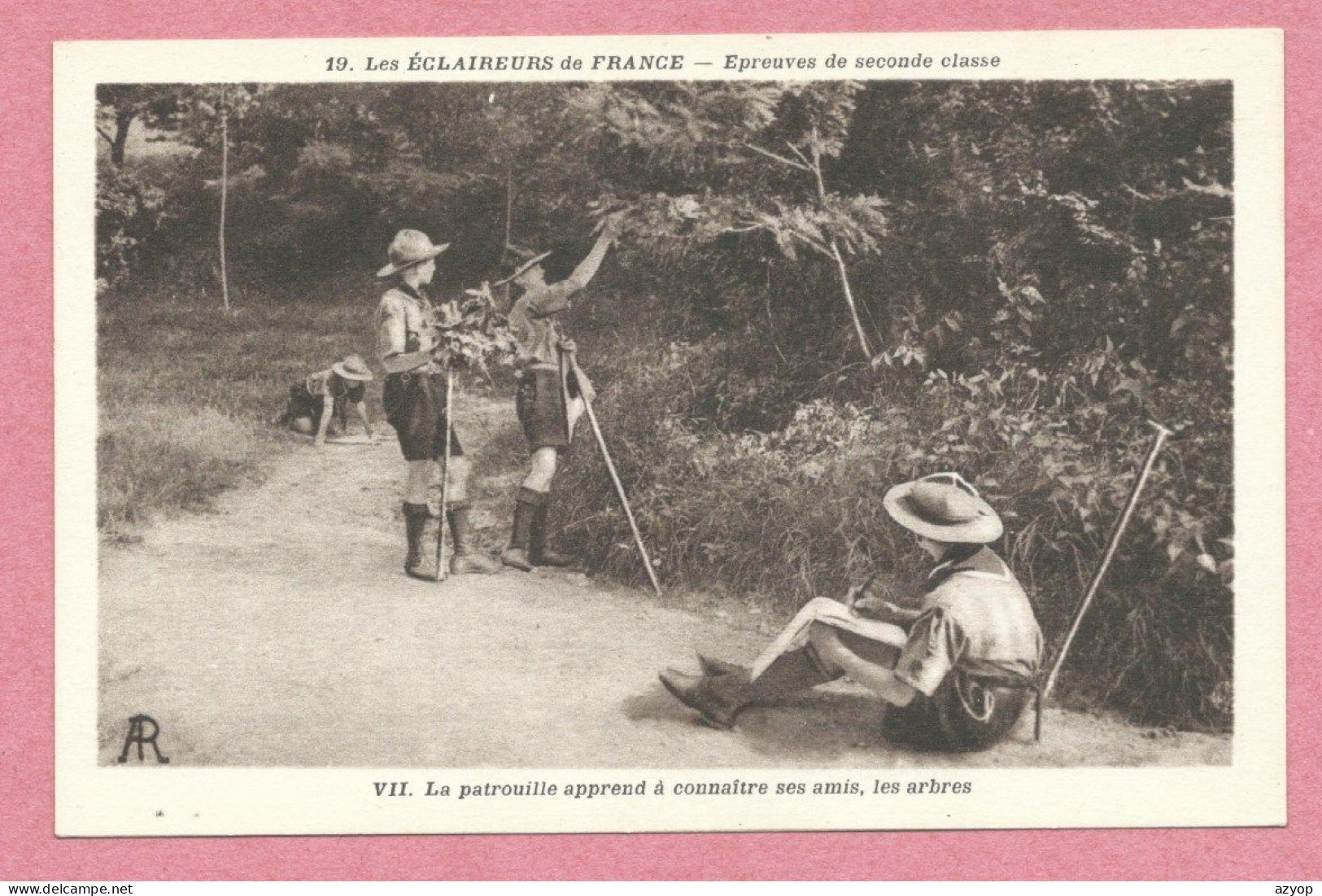 Scout - Scoutisme - Les Eclaireurs De France - Epreuve De Seconde Classe - La Patrouille Apprend à Connaître Les Arbres - Pfadfinder-Bewegung