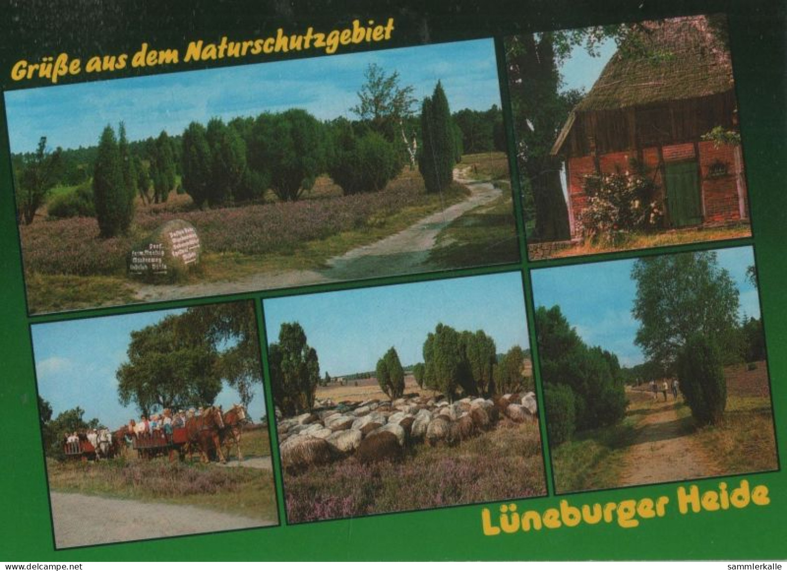 121069 - Lüneburger Heide - 5 Bilder - Lüneburger Heide