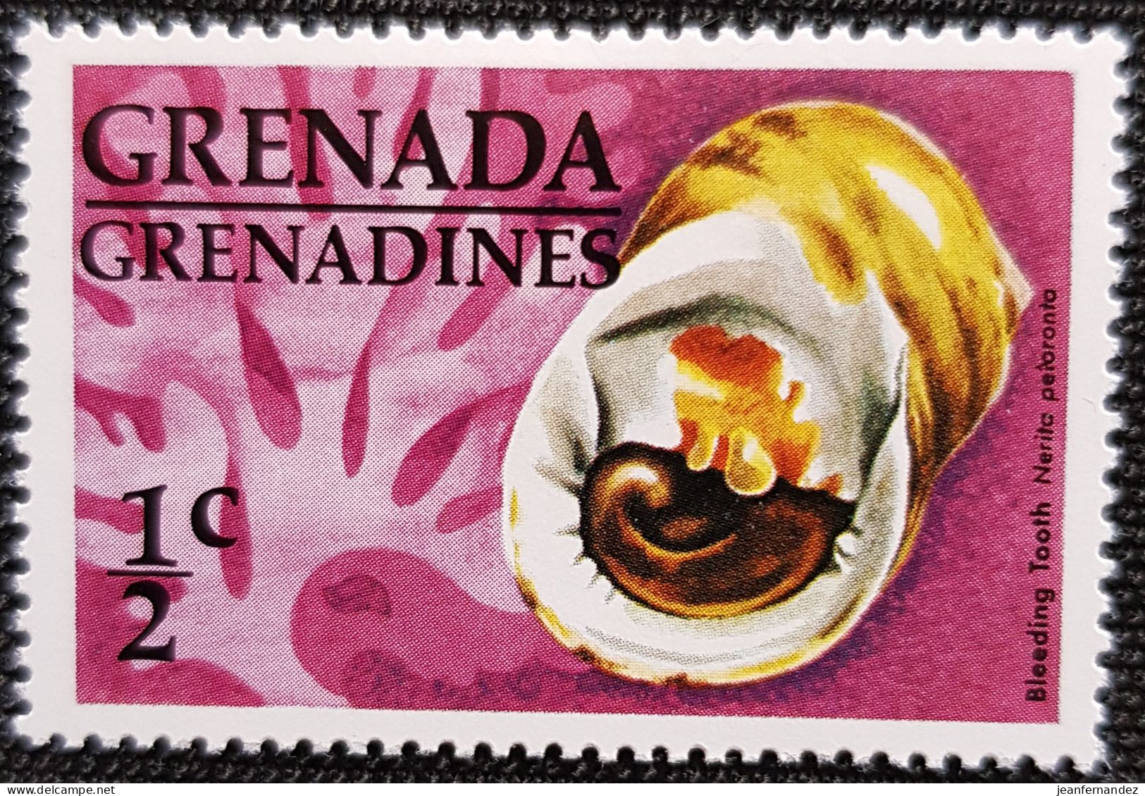 Grenadines 1976 Shell  Stampworld N° 141 - St.-Vincent En De Grenadines