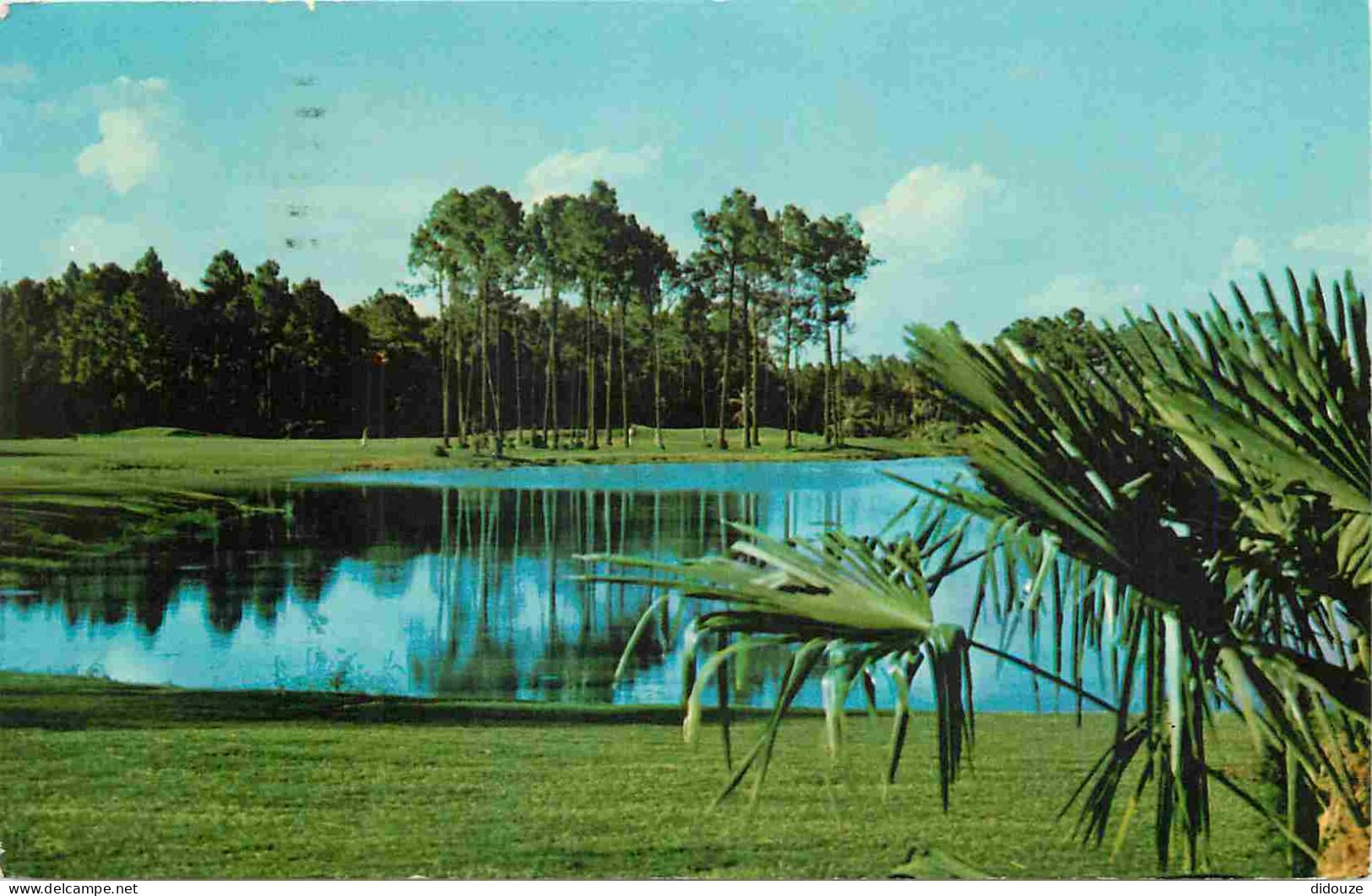 Parc D'Attractions - Walt Disney World Orlando - Palm Course - CPM - Voir Scans Recto-Verso - Disneyworld