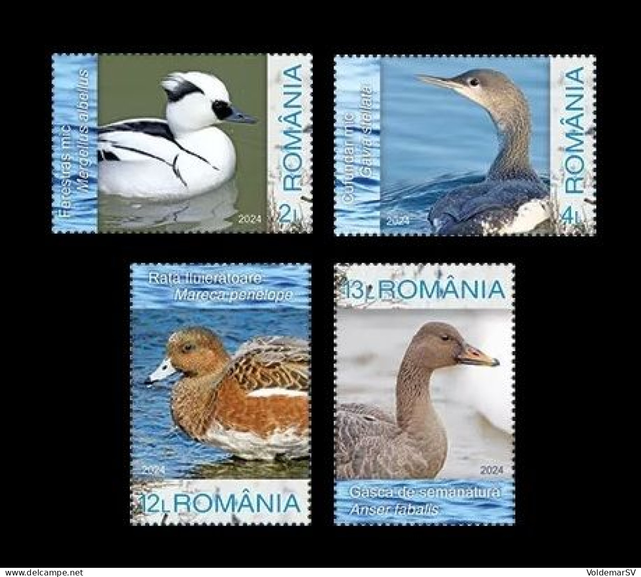 Romania 2024 Mih. 8288/91 Fauna. Birds. Winter Waterfowl MNH ** - Neufs