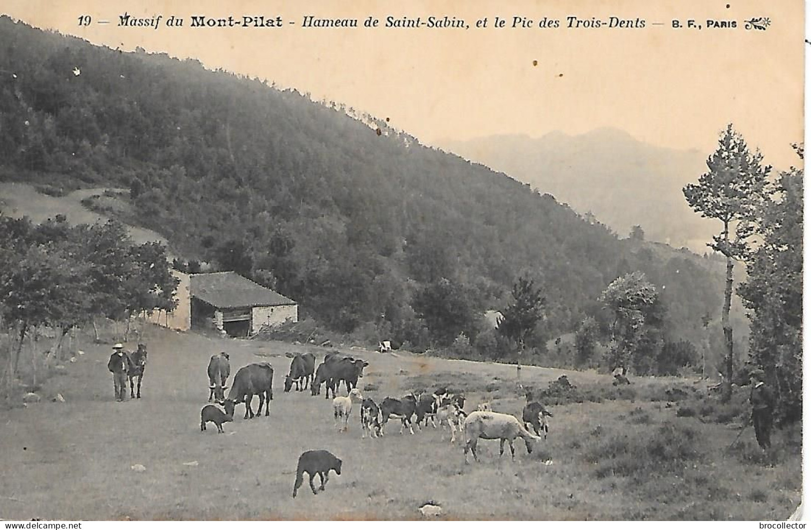 MONT PILAT ( 42 ) -  Hameau De SAINT SABIN - Mont Pilat