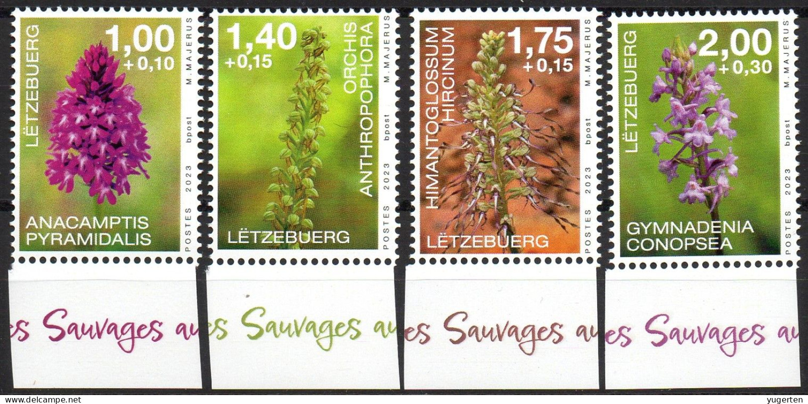 LUXEMBOURG 2023 - 4v - MNH - Orchids - Flowers - Blumen - Fleurs - Flores - Flora - Fiori - Bloemen - Orchidées - Orchidées