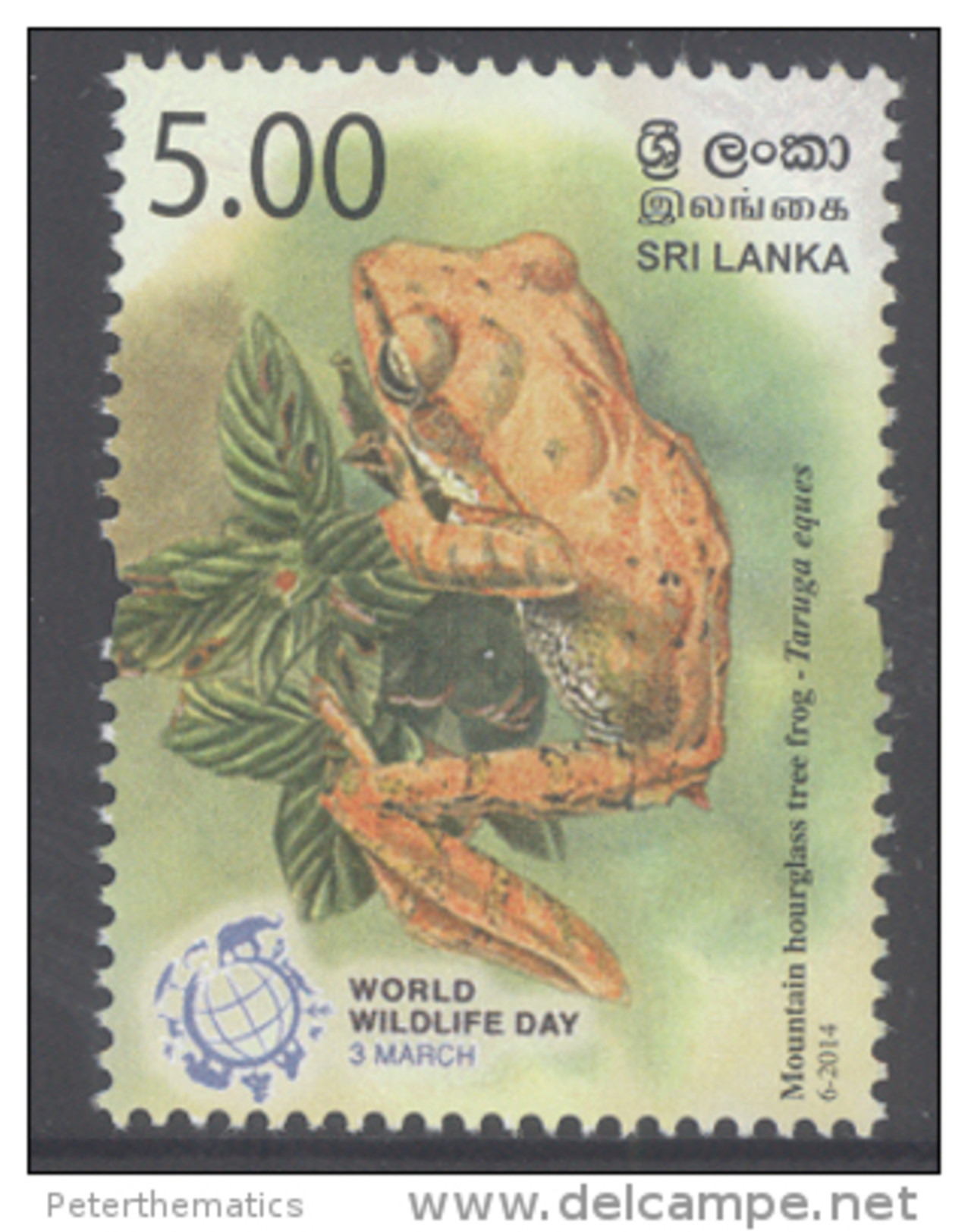 SRI LANKA, 2014,MNH, FROGS, WORLD WILDLIFE DAY, 1v - Frösche