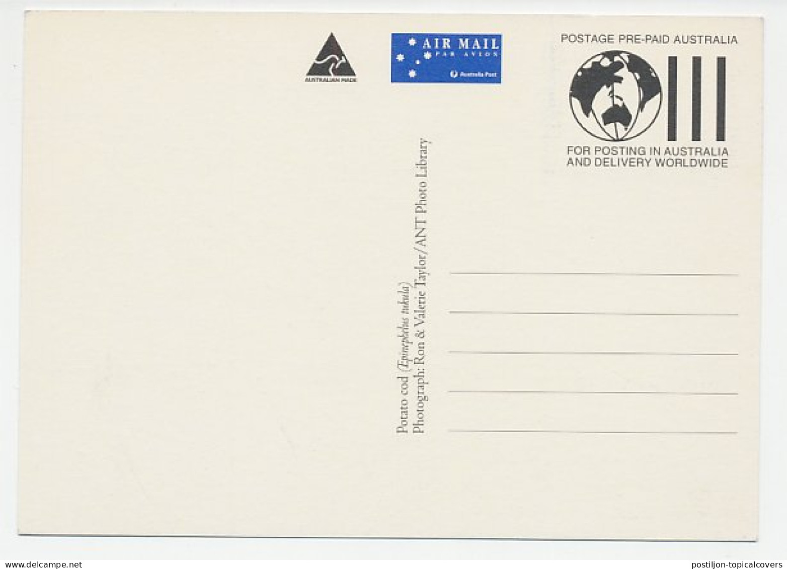 Maximum Card Australia 1995 Fish - Potato Cod - Poissons