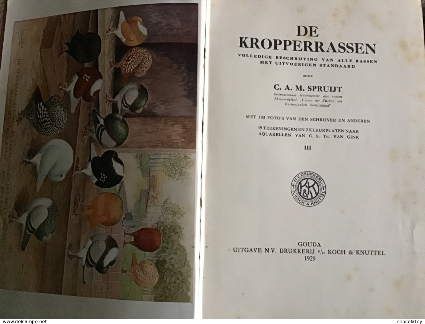 De Kropperrassen Duiven Pigeons Gouda Koch En Knuttel Mooie Staat 1929 - Storia