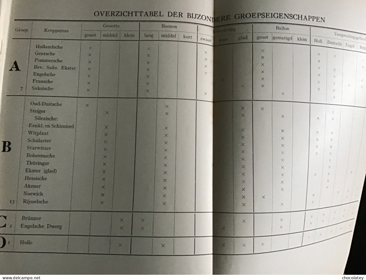 De Kropperrassen Duiven Pigeons Gouda Koch En Knuttel Mooie Staat 1929 - Histoire