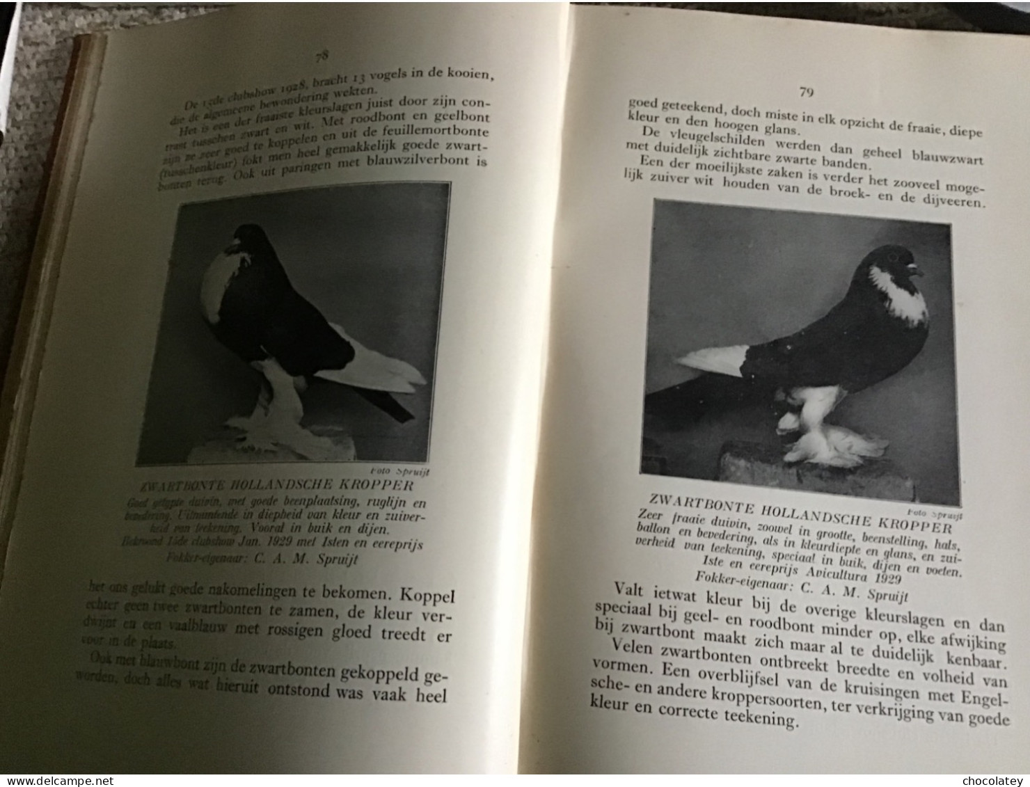 De Kropperrassen Duiven Pigeons Gouda Koch En Knuttel Mooie Staat 1929 - Histoire
