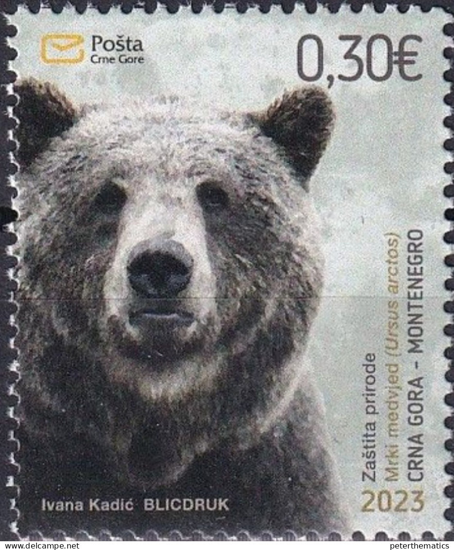 MONTENEGRO,2023,MNH,FAUNA,PROTECTION OF NATURE,  BEARS, 1v - Bären