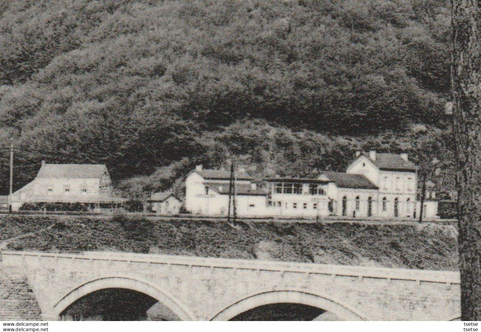 Hulsonniaux - Le Pont Sur La Lesse Et La Gare De Gendron-Celles ( Voir Verso ) - Houyet