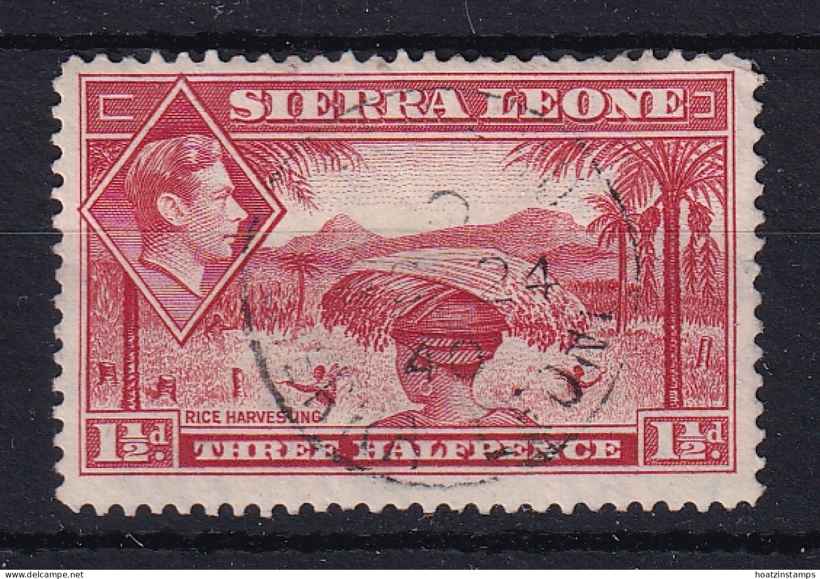 Sierra Leone: 1938/44   KGVI    SG190     1½d   Scarlet   Used - Sierra Leone (...-1960)