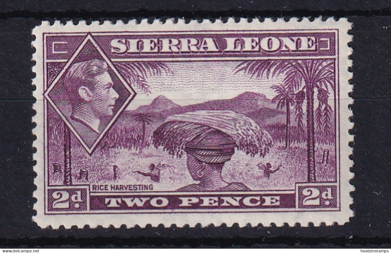 Sierra Leone: 1938/44   KGVI    SG191     2d   Mauve   MH - Sierra Leone (...-1960)