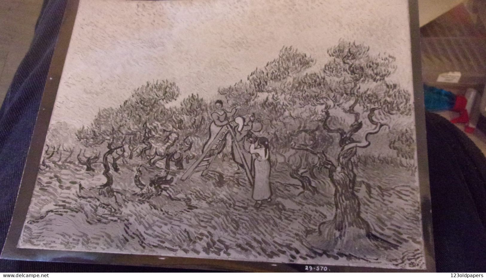 RARE PHOTO D UN TABLEAU DE VAN GOGH  LA CUEILLETTE DES OLIVES CACHET 1929 1930 IMPORTATION ET REIMPORTATION  EXPOSITION - Andere & Zonder Classificatie