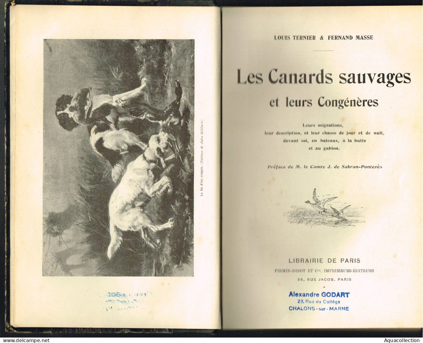 Ouvrage Sur La Chasse à La Hutte. 1907. TERNIER Louis - MASSE Fernand. LES CANARDS SAUVAGES ET LEURS CONGENERES. - 1901-1940