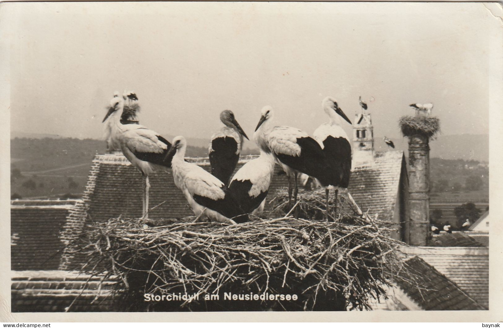 BGLD29   --  STORCH IDYL AM NEUSIEDLERSEE  --  1939 - Neusiedlerseeorte