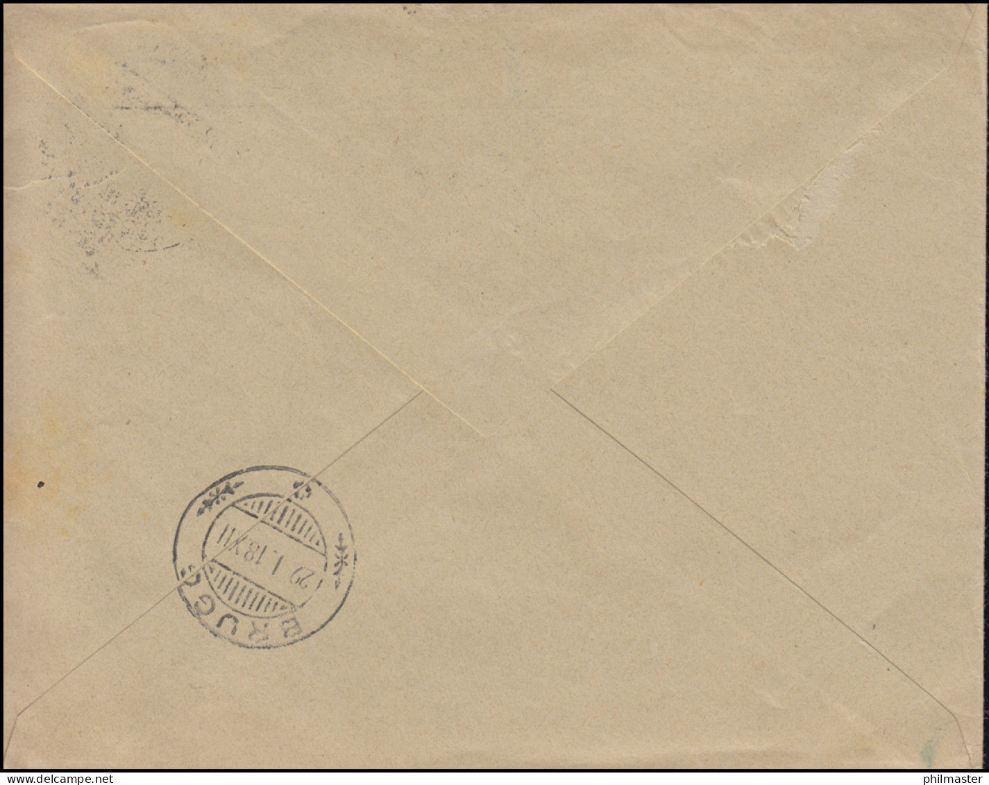 Portofreiheitsmarke 5I Alpenrose EF Brief Kantonale Pflegeanstalt MURI 29.1.1918 - Officials