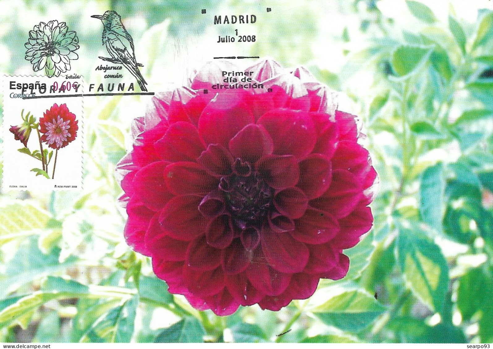 SPAIN. MAXICARD FIRST DAY. DAHLIA FLOWER. 2008 - Maximumkarten