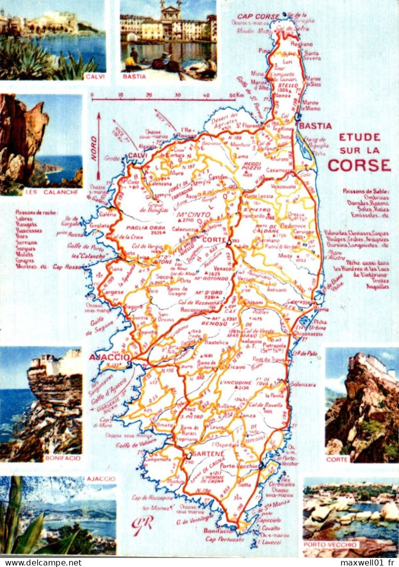 O2 - Carte Postale Géographique - Etude Sur La Corse - Cartes Géographiques