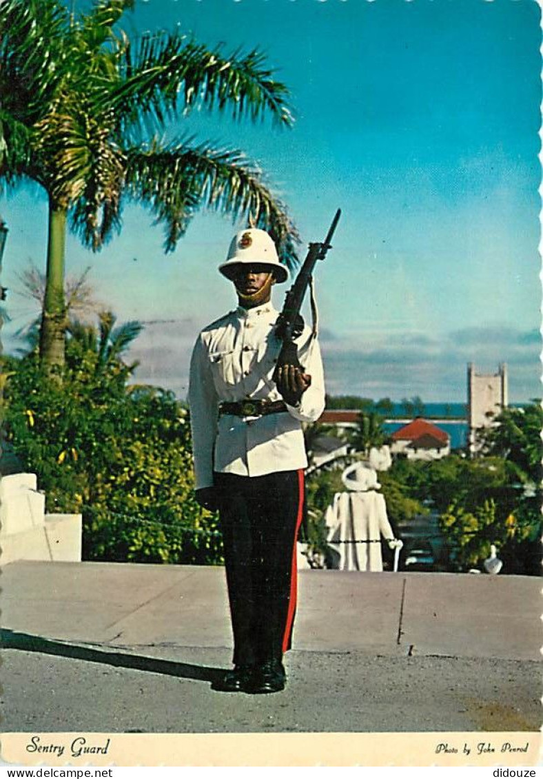 Antilles - Bahamas - Sentry Guard - CPM - Voir Scans Recto-Verso - Bahamas