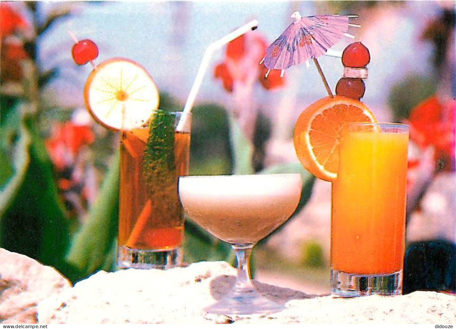 Chypre - Cyprus - Cocktails à Chypre - CPM - Carte Neuve - Voir Scans Recto-Verso - Chypre