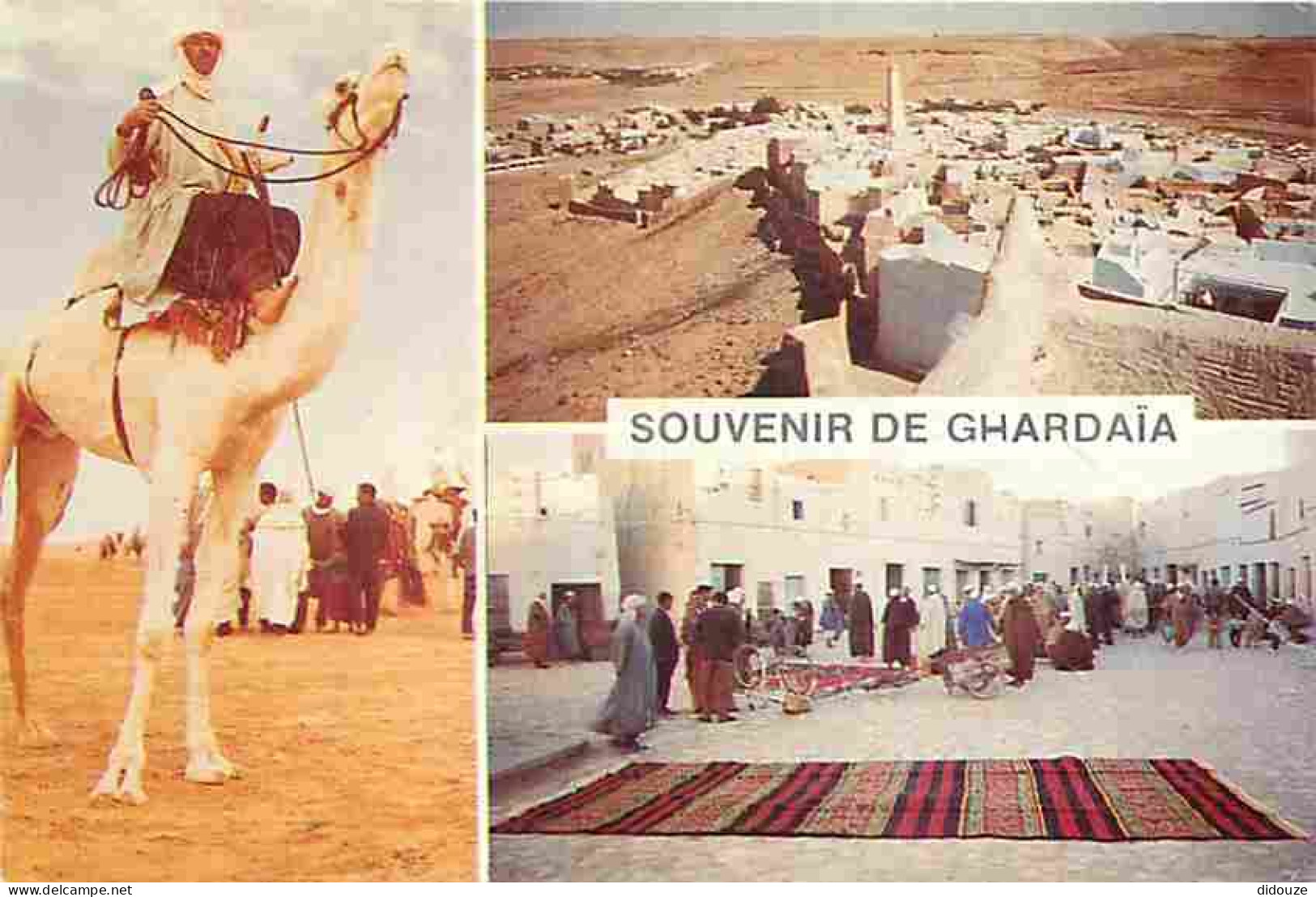 Algérie - Ghardaia - Multivues - Chameau - CPM - Voir Scans Recto-Verso - Ghardaïa