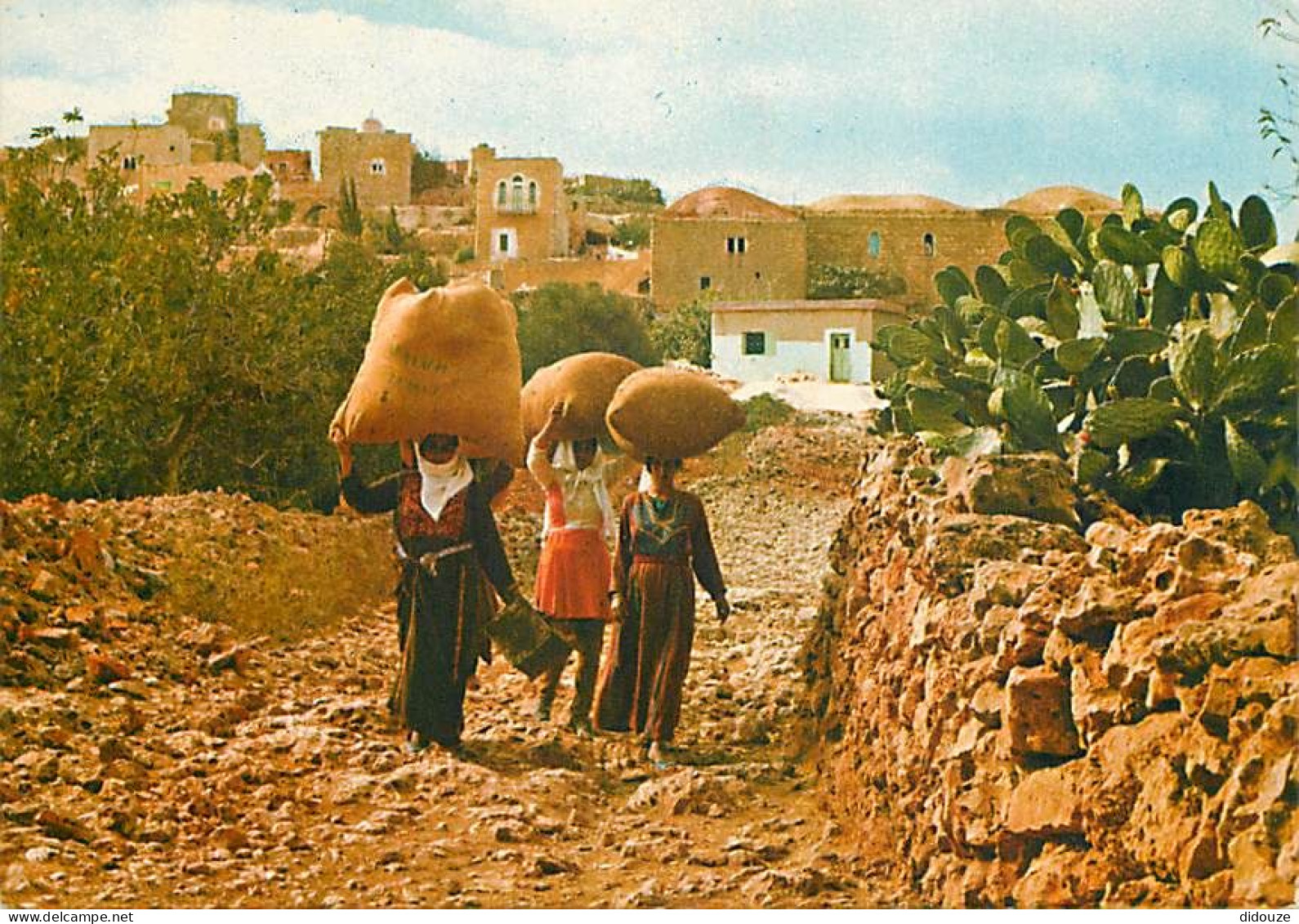 Israel - Arab Villagers On Their Way Back From The Fields - Des Paysans Arabes Retournant Du Travail Dans Les Champs - C - Israel