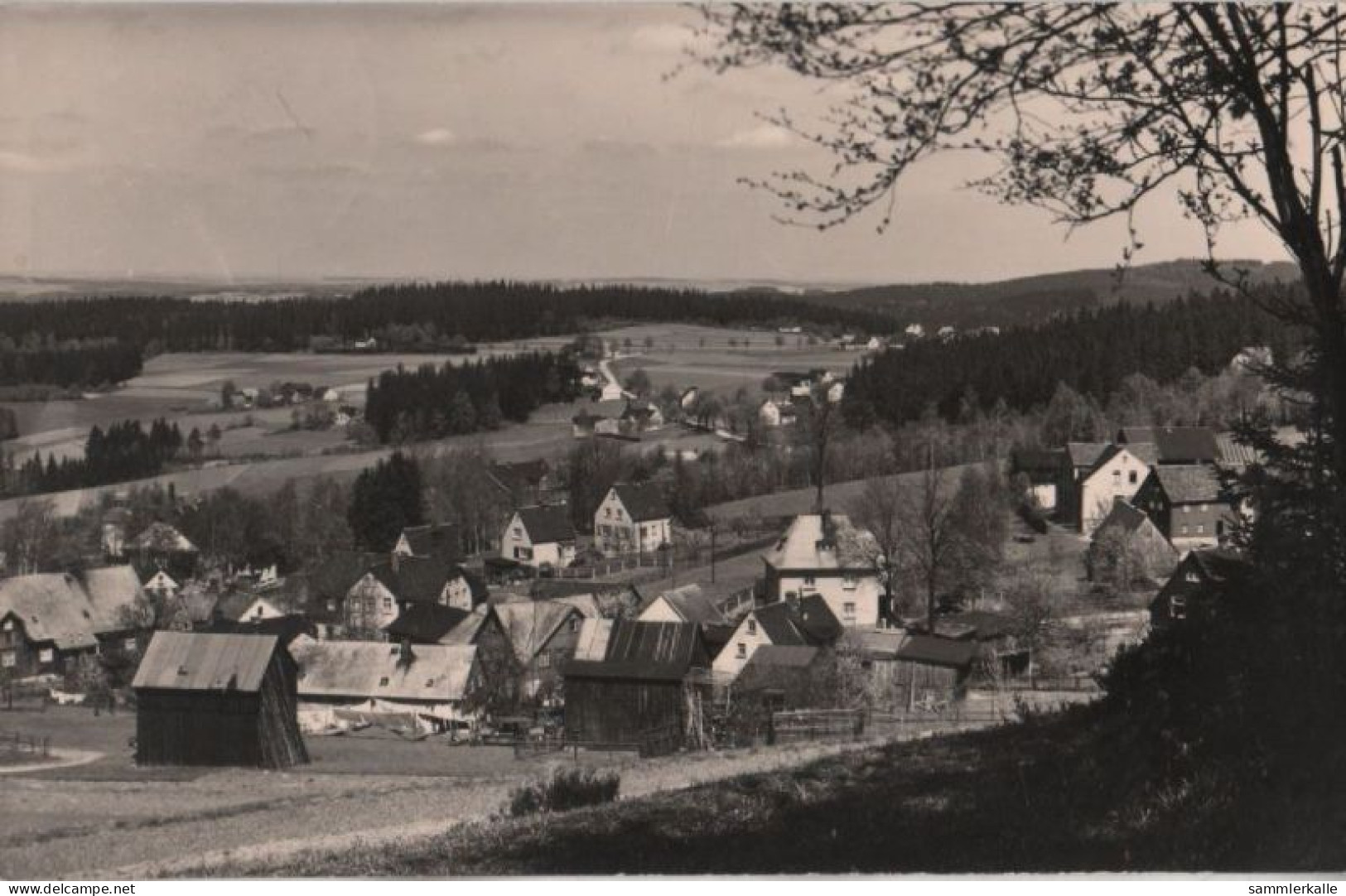 72725 - Auerbach-Schnarrtanne - Ca. 1965 - Auerbach (Vogtland)