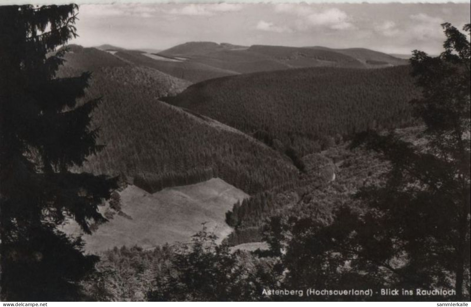 54291 - Winterberg-Astenberg - Blick Ins Rauchloch - 1965 - Winterberg