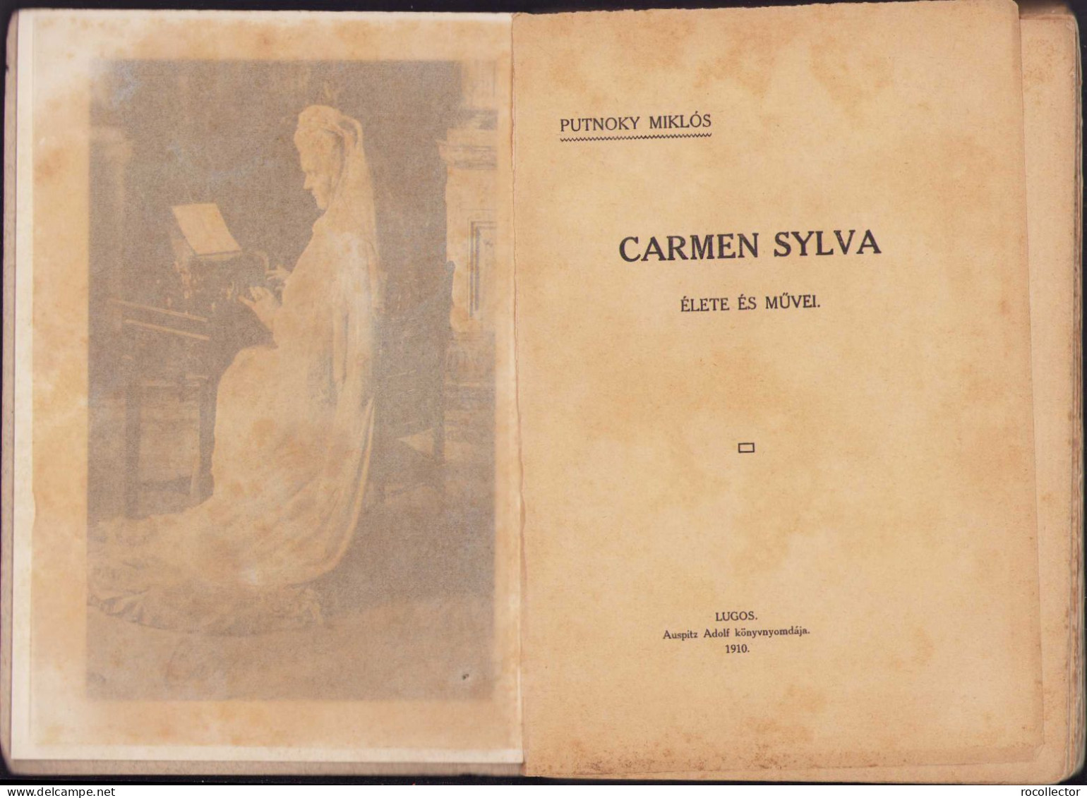 Carmen Sylva élete és Művei 1910 By Putnoky Miklós, Lugoj, Lugos 56SP - Alte Bücher