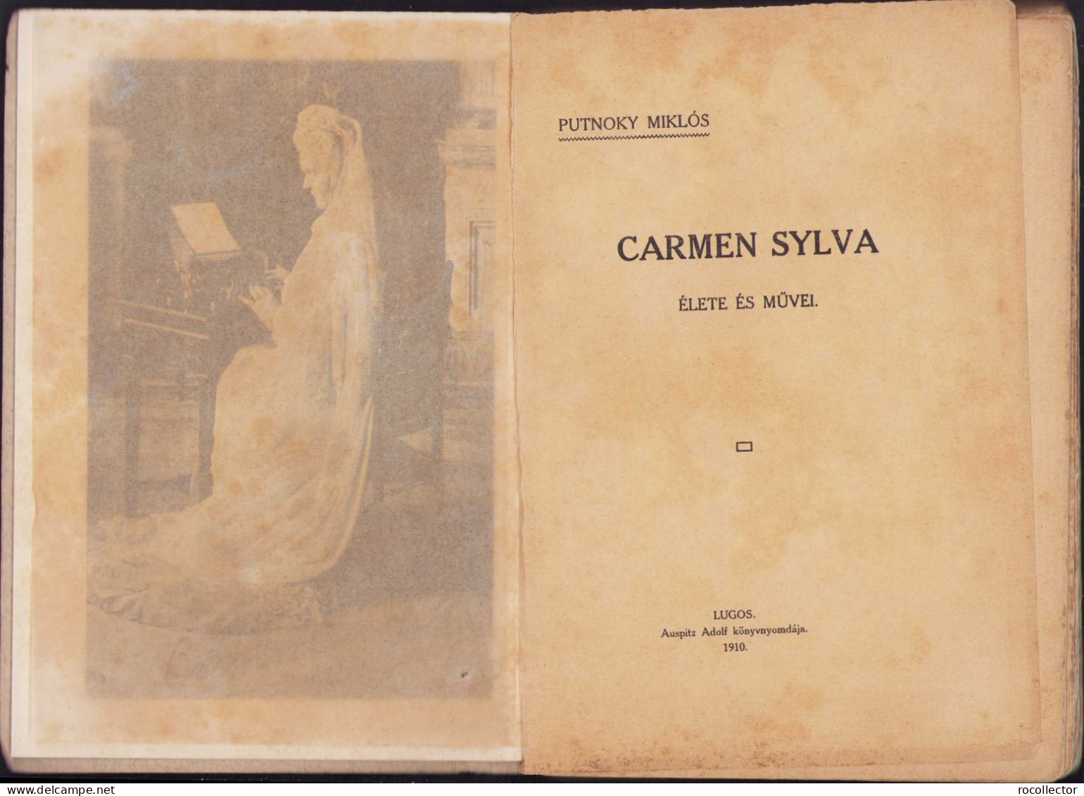 Carmen Sylva élete és Művei 1910 By Putnoky Miklós, Lugoj, Lugos 56SP - Libros Antiguos Y De Colección