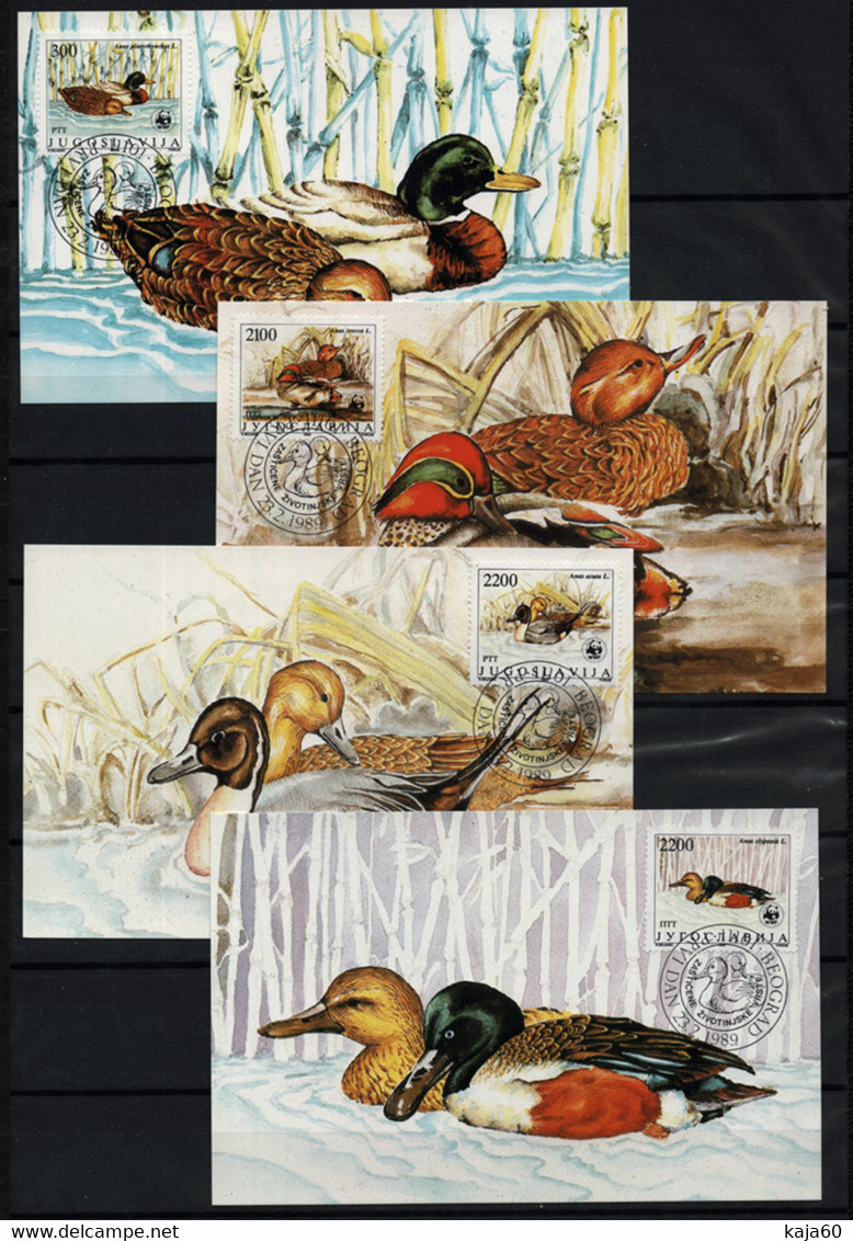 3529 Yugoslavia 1989 Protected Animal, Ducks MC - Maximum Cards