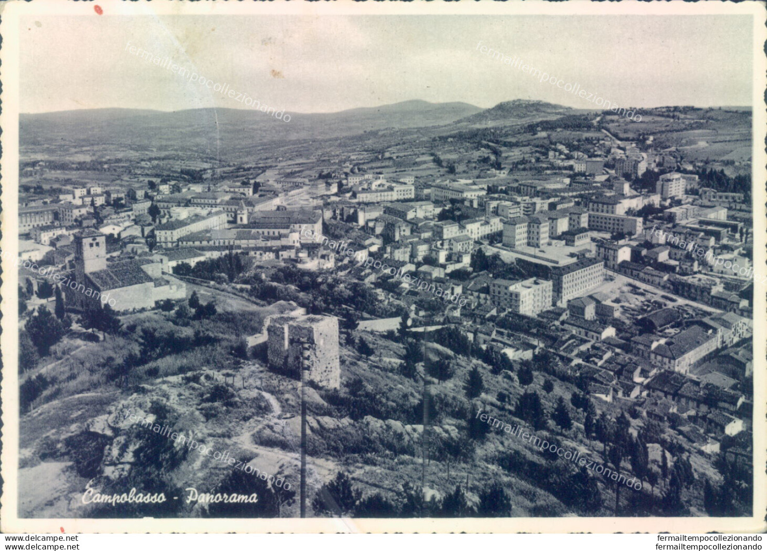 Ab699 Cartolina Campobasso Citta'  Panorama - Campobasso