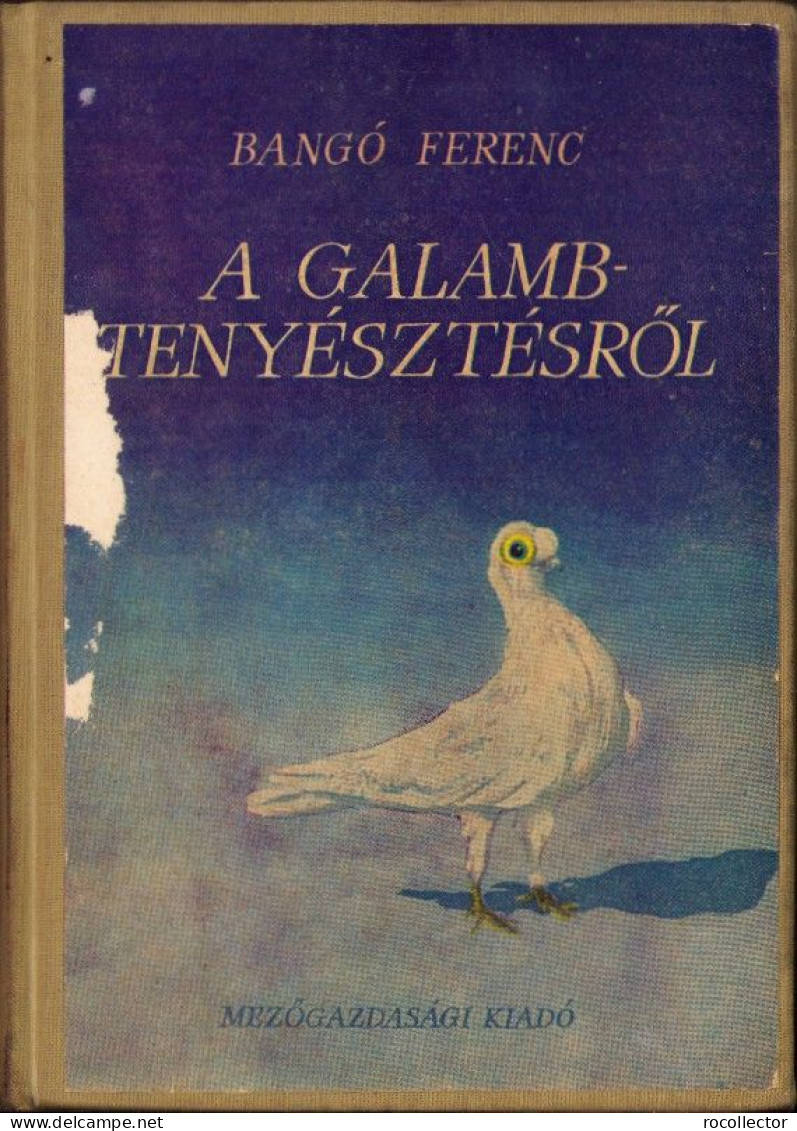 A Galambtenyésztésről, Cikkgyűtemény (1928-1960), Bangó Ferenc, 1964 C4365N - Livres Anciens