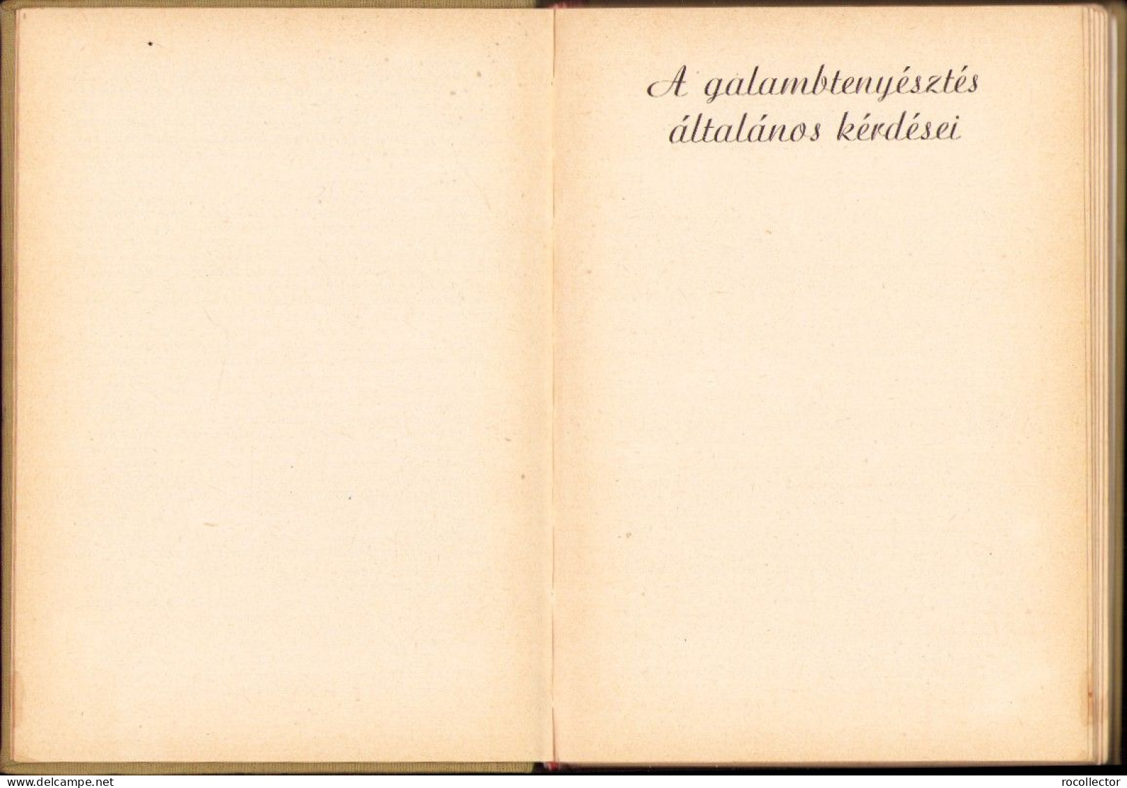 A Galambtenyésztésről, Cikkgyűtemény (1928-1960), Bangó Ferenc, 1964 C4365N - Livres Anciens