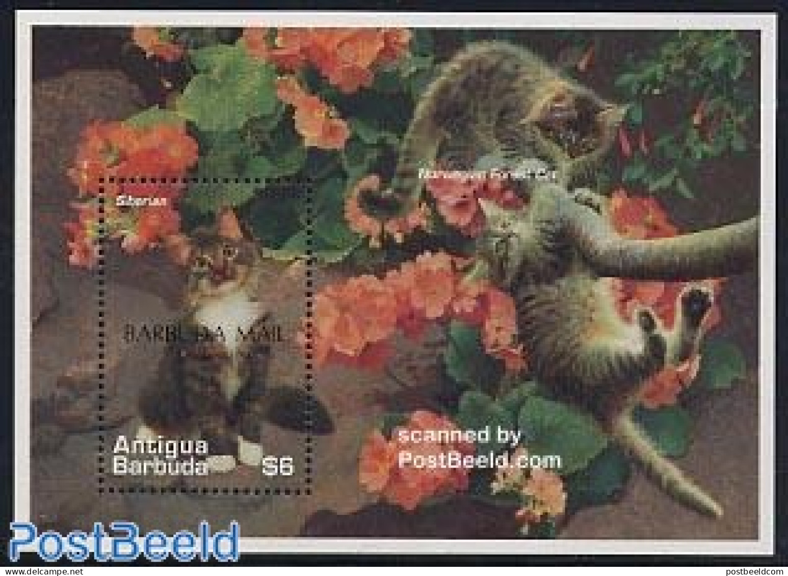 Barbuda 1997 Norwegian Forest Cat S/s, Mint NH, Nature - Cats - Barbuda (...-1981)