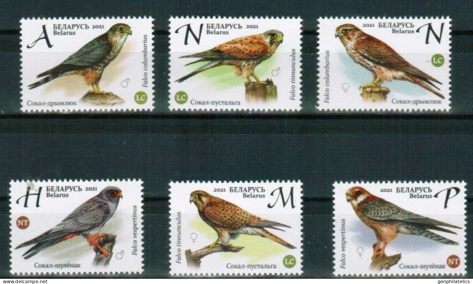 BELARUS 2021 FAUNA Animals. Birds FALCONS - Fine Set MNH - Belarus