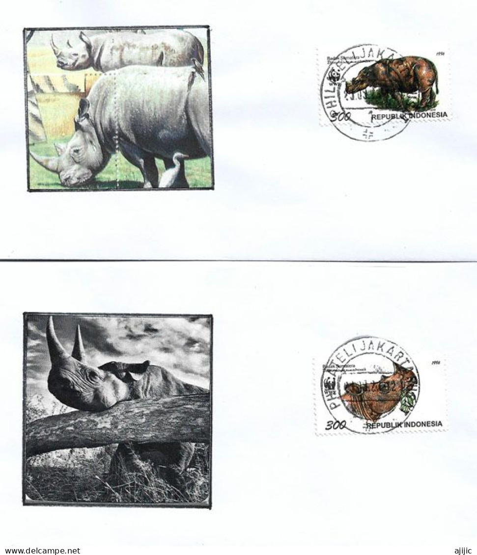 Le Rhinocéros De Sumatra .  Deux Lettres (Jakarta) - Rinoceronti