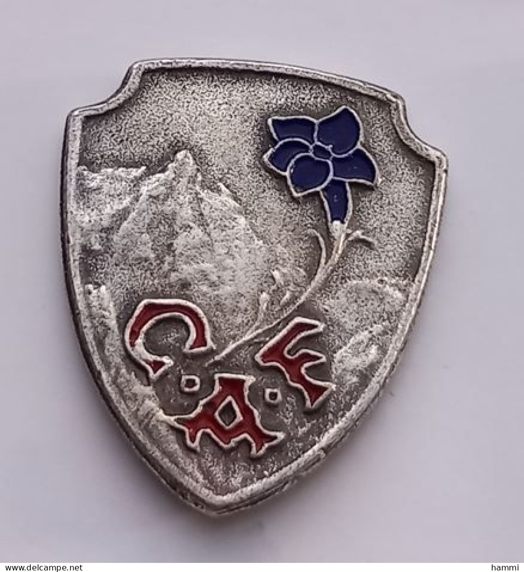 A143 Pin's Alpinisme C.A.F Club Alpin Français Fleur Alpinism Mountain Climbing Achat Immédiat - Asociaciones