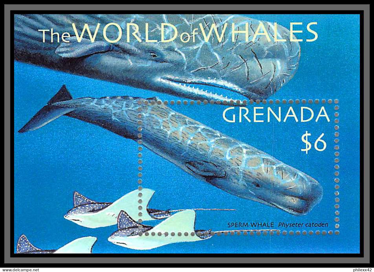 80660 Grenada Mi N°655 TB Neuf ** MNH The World Of Whales 2001 Sperm Whale Baleine - Walvissen