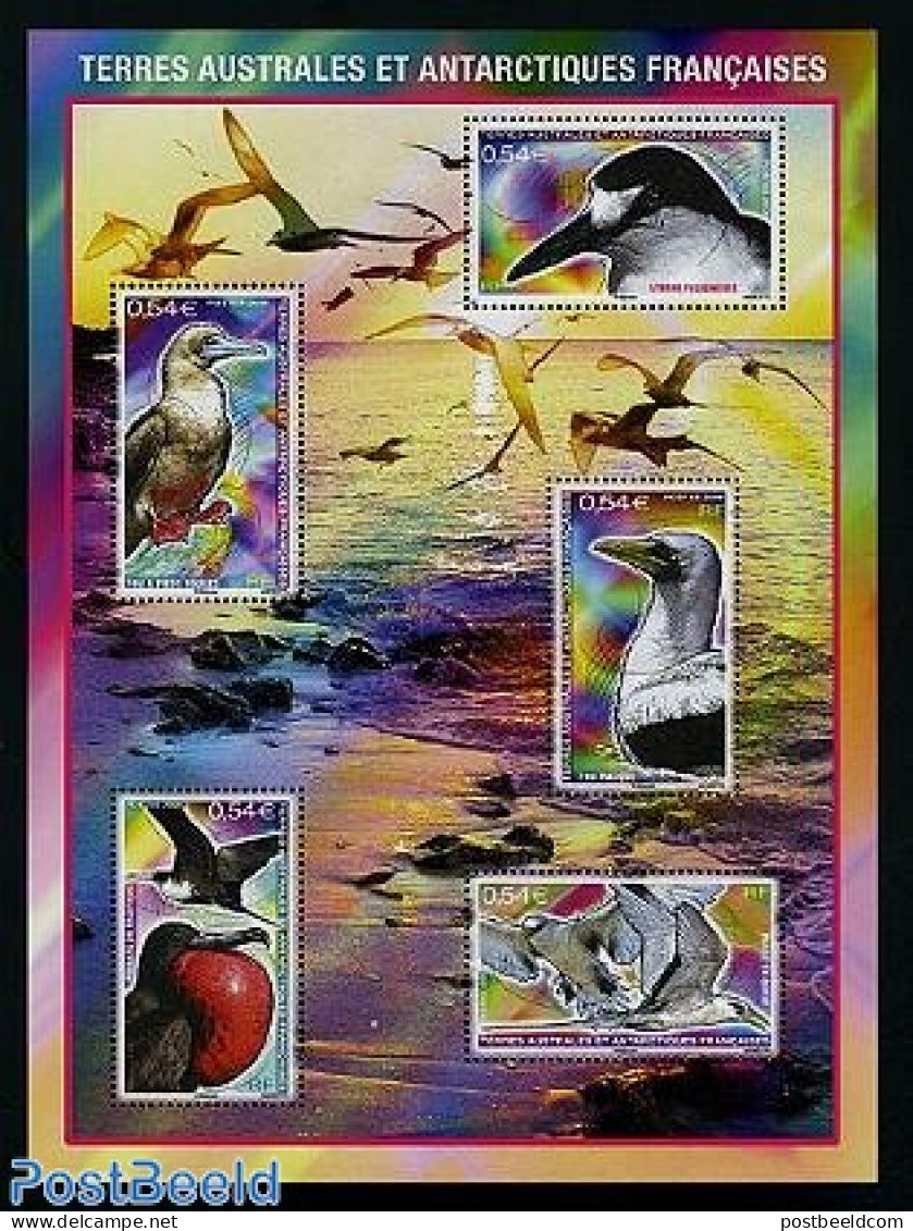 French Antarctic Territory 2008 Birds 5v M/s, Mint NH, Nature - Birds - Penguins - Unused Stamps