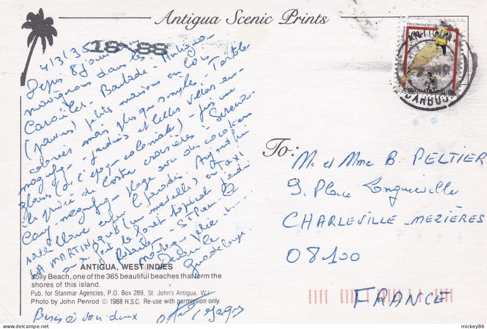 ANTIGUA--1995-- West Indies --Jolly Beach...timbre Oiseau...cachet - Antigua Und Barbuda